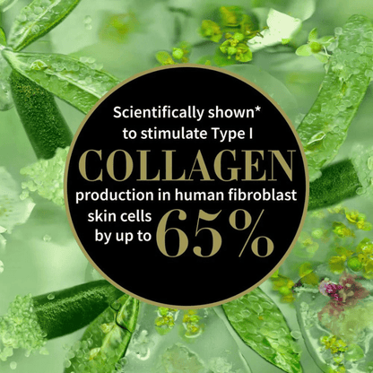 Organic Lime Caviar Collagen-Rich Firming Cream
